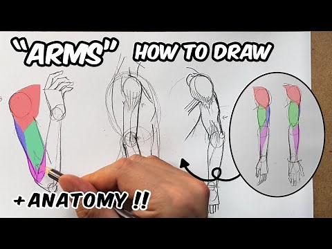 How to Draw Arms / Anatomy Tutorial!! for beginners