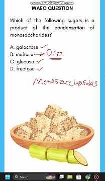 Sugar Formed by Condensation of Monosaccharides – WAEC 2022 Chemistry Q2