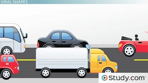 Virus Shapes | Definition & Examples