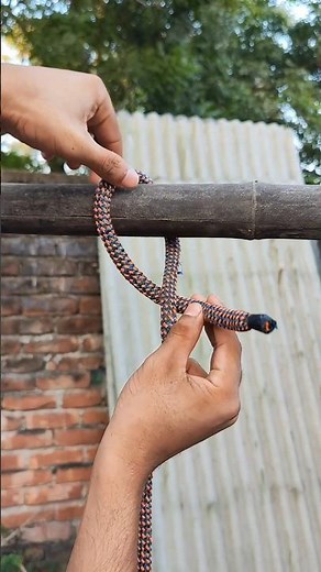 The Most Useful Knot Everyone Should Learn!🪢 #knot #rope