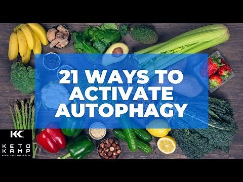 What is Autophagy and How Does it Work? | 21 Ways to Achieve Autophagy