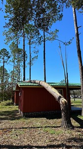 15K views · 63 reactions | The campground we evacuated to in the...