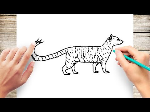 How to Draw A Mongoose