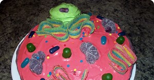 How to Make an Animal Cell Cake