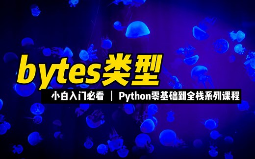 bytes类型 - 《python零基础到全栈系列》