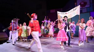 2.4K views · 65 reactions | Bye Bye Birdie-The Surprise Sensation of...