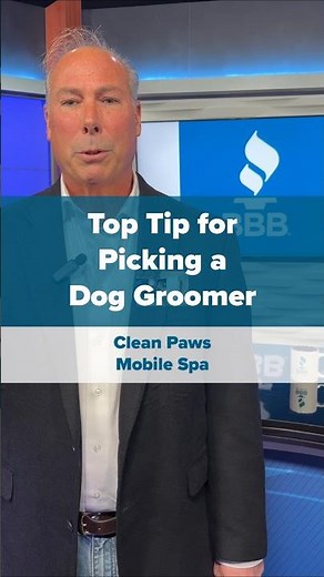 Top Tip for Picking a Dog Groomer - Clean Paws Mobile Spa