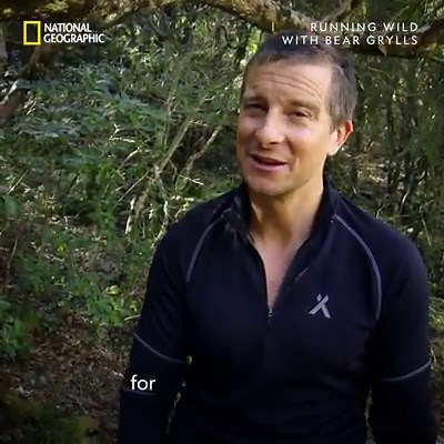 3.8K views · 39 reactions | Number 2 takes 1st place priority when nature calls. Cara Delevingne faces the mountains of Sardinia in new Running Wild with Bear Grylls this Sunday at 7pm. | National Geographic UK | Facebook