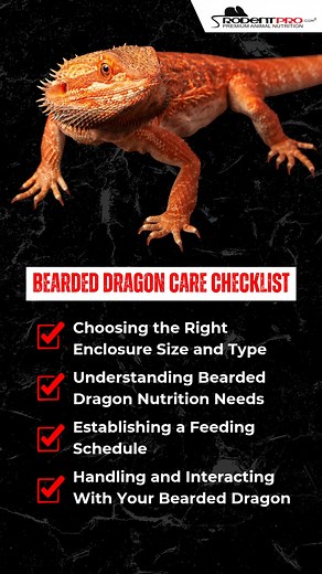 年 Caring for your bearded dragon? Use our easy checklist for everything from enclosure setup to feeding and lighting. Get the full guide here: https://bit.ly/4f3MEgq | RodentPro.com | Facebook