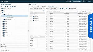 Creating a SAS Table from a CSV File - SAS Video Portal