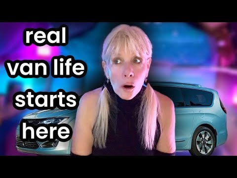 Crazy Brave: One Woman, Two Dogs, and Can't Afford Rent