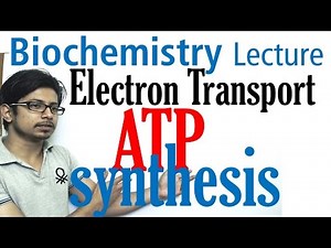 Electron Transport Chain and ATP Synthesis Video Lecture - Crash Course