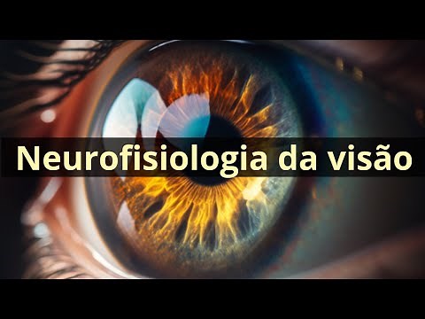 Neurofisiologia da visão (função receptora da retina) - Fisiologia Humana