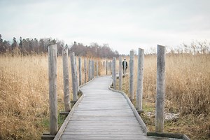 Contract Handover | Best practices and success factors