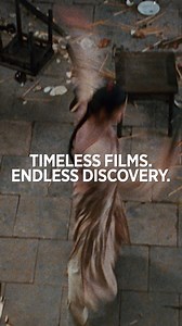 85K views · 11 shares |  FALL SPECIAL  Now through October 5, get 20% OFF new annual Criterion Channel subscriptions! Stream the best new movies and your favorite classics, and explore new curated collections every month. Head to criterionchannel.com and use the promo code FALLSPECIAL to start your adventure in moviegoing today! | The Criterion Collection | Facebook