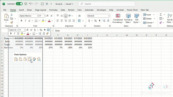 Data Entry Basics in Microsoft Excel for Beginners