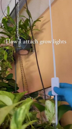 How to Install Grow Lights on Your Ceiling for Lower Light Areas