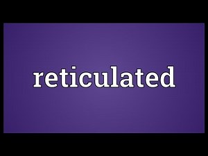 Reticulated Meaning