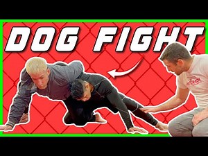 BASICS of the Dog Fight Position!