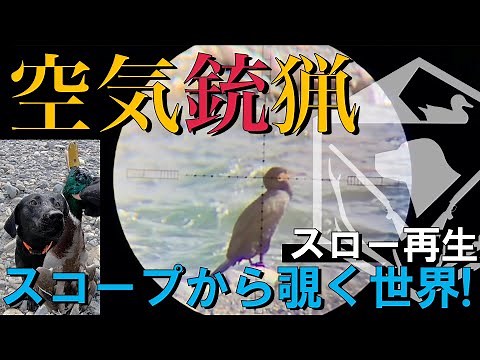 [Air Gun Hunting] The world of hunting seen through the scope of an air rifle!