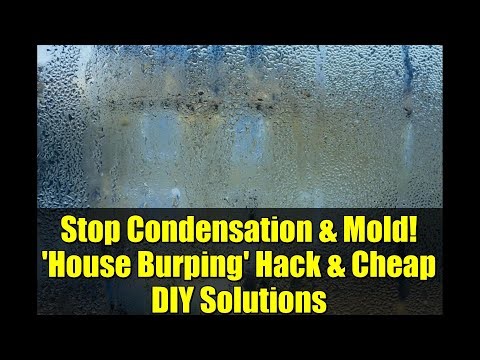 Stop Condensation & Mold! 'House Burping' Hack & Cheap DIY Solutions