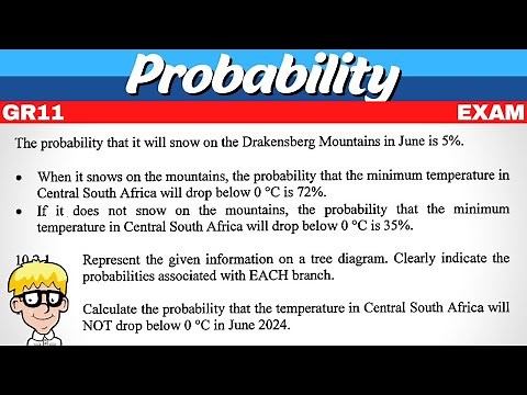Probability Grade 11 Exam Questions
