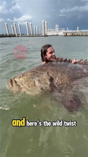 The Silent Ambush Predator of the Coral Reef