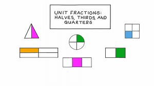 Unit Fractions: Halves, Thirds, and Quarters