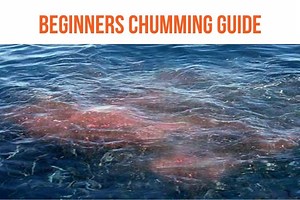 What Is Fish Chum? Chumming Beginner Guide – All Fishing Gear