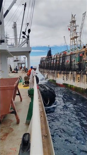 🌊🚢 Ship-to-Ship Operation in Rough Sea | INSANE Risk#shorts