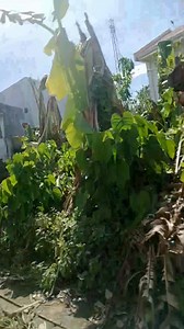 Maria Elisa Laborte on Reels | Facebook