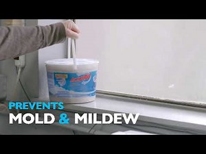 DampRid Moisture Absorber Prevents Mold & Mildew