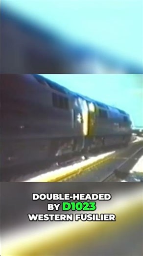 Last Western Train Run London Paddington Farewell! #class52 #western #fyp #gwr