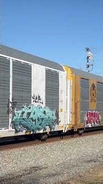 CSX solo leader on a auto rack train