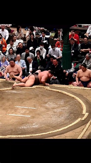 千代翔馬VS伯乃富士！2026年大相撲5月場所