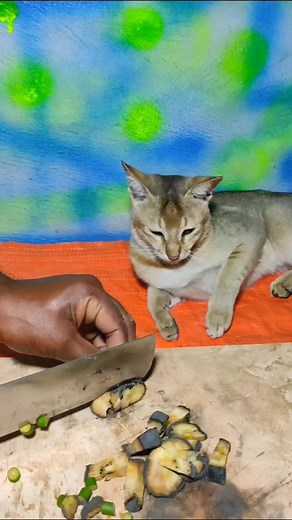 jackfruit cutting skills #foryou #foryoupage #fyp