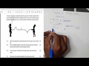 Physical Science Grade 10 March Test 01 | Question 2 [Pulses] & 3 [Transverse Waves]