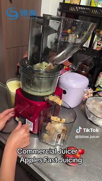 Powerful Commercial Juicer for Whole Apples