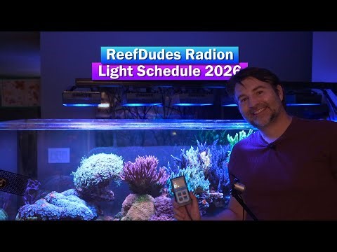 ReefDudes Radion Light Schedule - 2026 Update