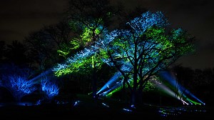 Things to do in and around Chicago this weekend: Nov. 14th -16th