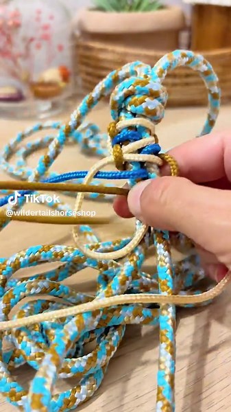 Customize Your Horse Halter: Step-by-Step Guide