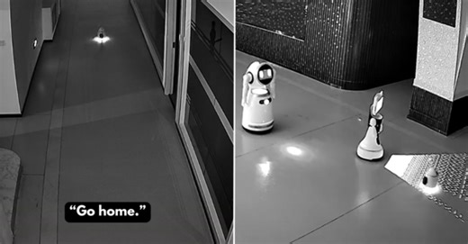 "You Working Overtime?" — Viral Video Shows Tiny Robot Persuading Other Robots To Go        Home