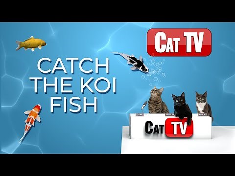 CAT TV Fish | 🐟 Catch The Koi Fish | Cat Games 4K | Fish Videos For Cats | 3 Hours