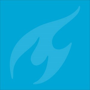 Environmental Engineering