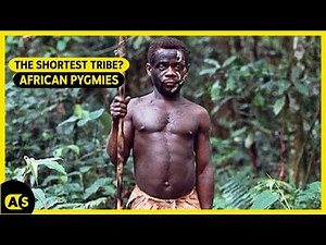 Meet the African Pygmies. The shortest set of human beings.