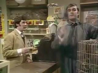 48K views · 400 reactions | The Dead Parrot Sketch from Monty Python. Just sit back and enjoy! | Classic TV Moments | Facebook