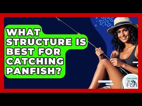 What Structure Is Best For Catching Panfish? - Chasing Big Fish