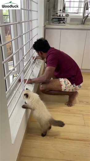 Easy Window Mosquito Net Fix 🦟🏡