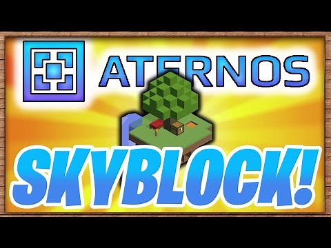 HOW TO MAKE A SKYBLOCK SERVER WITH ATERNOS! (1.16.5)