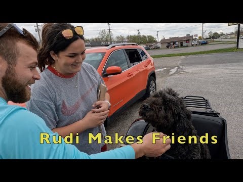 Rudi the Sidecar Dog Makes New Friends and Gets Ice Cream